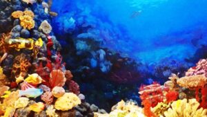 【ゲーム音楽】 犬と猫 晴れ曇テーマコレクション No.01 -AQUA- 【作業用BGM】