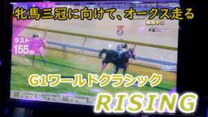 １３７　メダルゲーム　G１ワールドクラシック　ライジング　RISING　ビクトリーチャレンジ　【 エプソムカップ 】　サブ店舗　ポイントレース　６５