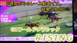 １４６　メダルゲーム　G１ワールドクラシック　ライジング　RISING　ビクトリーチャレンジ　【 函館記念 】 メイン店舗　ポイントレース　７０