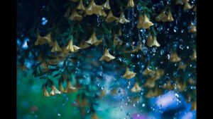 著作権フリーBGM 【その瞳に映る絆】ゲーム音楽  切ないBGM