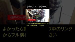 カノン【エレクトーン演奏】 #shorts #ショート #ショート動画