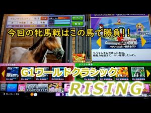 １６６　メダルゲーム　G１ワールドクラシック　ライジング　RISING　ビクトリーチャレンジ　【 秋華賞 】 メイン店舗　ポイントレース　８４