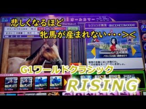 １７８　メダルゲーム　G１ワールドクラシック　ライジング　RISING　ビクトリーチャレンジ　【 阪神ジュベナイルフィリーズ 】 メイン店舗　ポイントレース　９２