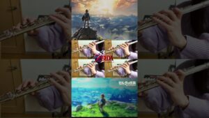 ゼルダのメインテーマ！ #フルート #flute #ゲーム #ゲーム音楽 #flutecover #吹いてみた #多重録音 #ゼルダの伝説 #legendofzelda #メインテーマ #ゼルダ