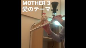 愛のテーマ/MOTHER3（We miss you) フルート　ソロ演奏　Flute