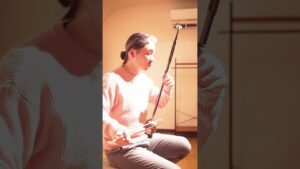 二胡で聴く【ドラクエ序曲】も やっぱりワクワク感たっぷり！