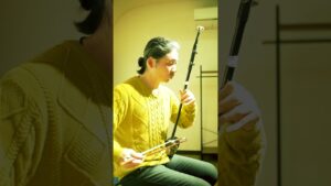 二胡で聴く【ゼルダの伝説 メインテーマ】がワリと勇ましい！