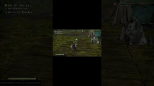 【ワイルドハーツ】スクワット【Wild Hearts】【雑ゲーム】