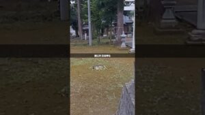 ドラゴンクエストII/聖なるほこら【福井の景色とゲーム音楽】