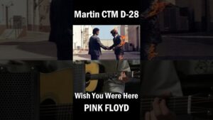 Wish You Were Here / Pink Floyd　Martin　#shorts