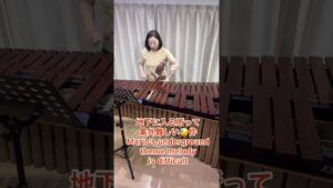 【マリンバ】マリオの地下室テーマは、割と難しい😓