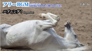 🎮🎶【フリーBGM】05.ハプニング！〈ハプニングが起きた時に使えるBGM〉『ゲーム向けBGM素材集 AoIruka Sounds Collection Vol.1』#フリーBGM