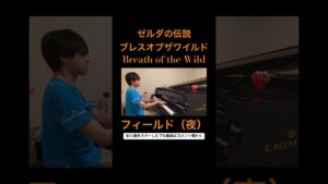 ブレワイで夜流れる曲 #ブレワイ#ブレスオブザワイルド#botw#ゼルダの伝説#ティアキン#totk#breathofthewild#zelda#kazuoseto#shorts#ピアノ