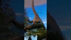 ドラゴンクエストⅣ/エスターク【福井の景色とゲーム音楽】