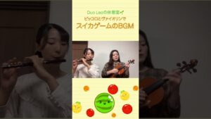 ピッコロとヴァイオリンでスイカゲームBGM🍉 #shorts #violin #piccolo #スイカゲーム #弾いてみた