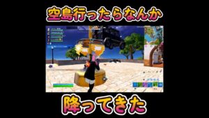 【フォートナイト/Fortnite】空島行ったらなんか降ってきた ＃Shorts ＃フォートナイト ＃Fortnite #チャプター5シーズン1
