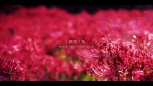 彼岸ノ島【日本神話系BGM】