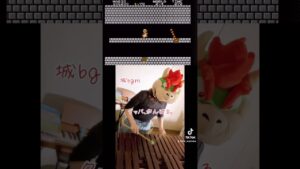 【マリオ /2-4クッパ城】#marimba #弾いてみた #ゲーム音楽 #速弾き #マリオ #supermariobros