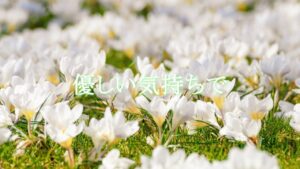 【オリジナルゲーム音楽】優しい気持ちで (Official Audio)【Aquasnow'sレコメンド】