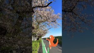 #pokemon #ポケモンbgm #ポケモン #ゲーム音楽 #ポケットモンスター