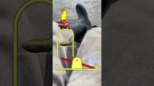 Game #music #audio #unfrezzmyaccount